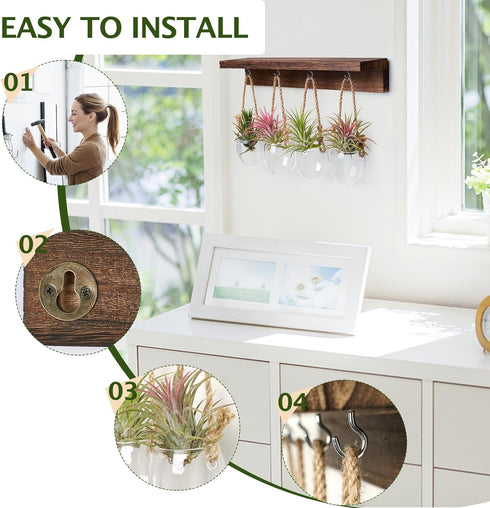 4 Pcs Wall Hanging Glass Plant Stand indoor, Desktop Propagation Stations Plant Pot Wall vase with Wooden Stand Eggshell Shape-Water Planting Air ...