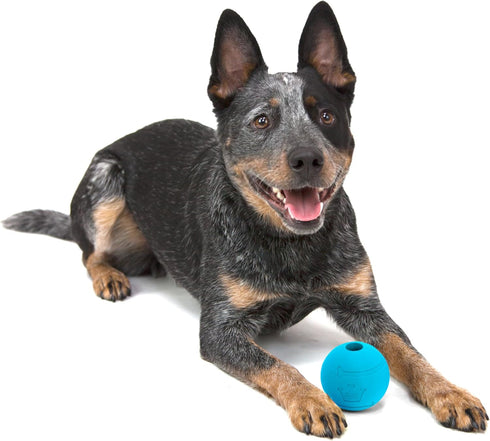 Chew King Glowing Fetch Ball, Dog Ball Toys, 2.5" Combo...