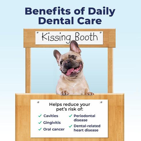 Vetnique Dentabliss - Dog Teeth Cleaning Finger Mitt Dental Wipe - Dog Plaque and Tartar Prevention with Brushing Beads - Convenient Dog Teeth Wip...