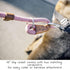 Ultra Reflective Premium Dog Slip Leash Made from Mountain Climbing Rope - Great for Training and The Strongest Pullers 6 Foot (Pink Marshmallow)...