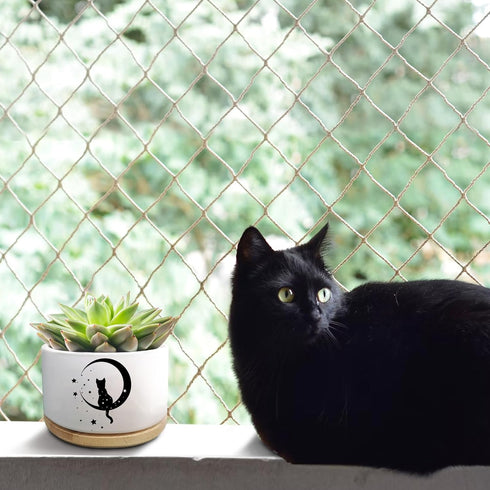 Cute Cat Succulent Plant Pot with Inspirational Quote, Funny Small Cactus Flower Planter Pots for Indoor Plants, Windowsill Desk Decor Planter Gif...