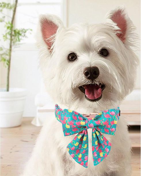 Unique Style Paws Dog Collar with Bowtie, Cute Flamingo Dog Collars Adjustable Puppy Collar for Small,Medium,Large Dogs...