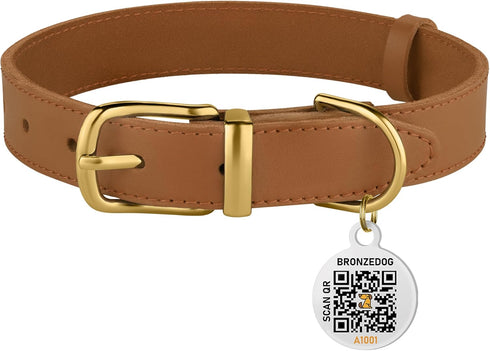 BRONZEDOG Leather Dog Collar with Metal Buckle Durable Basic Pet Collars for Small Medium Large Dogs (11-13 Inch (Pack of 1), Light Brown & Gold B...