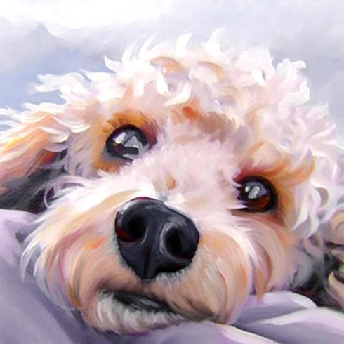 Diymood DIY 5D Diamond Painting Kits for Adults Dog Puppy - Diamond Art Kits for Adults Animal | Full Drill Round | Crystal Mosaic Picture | Begin...