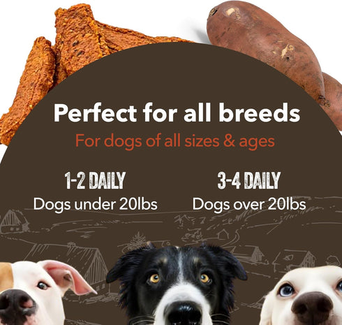 Gaines Family Farmstead Sweet Potato & Chicken Fillets for Dogs, All-Natural, Grain-Free, Healthy Dog Treats for All Ages & Breeds, Made in USA, 8...