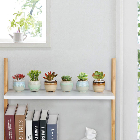 T4U Small Ceramic Succulent Pots with Drainage Set of 3, Mini Pots for Plants, Tiny Porcelain Planter, Air Plant Flower Pots Cactus Faux Plants Co...