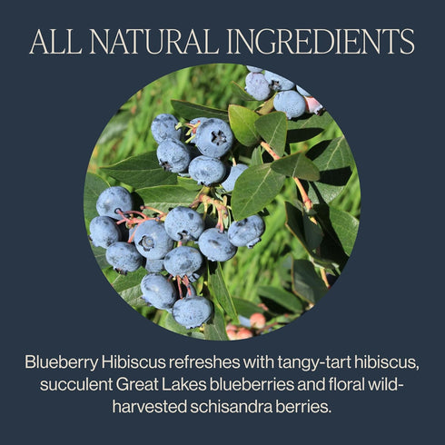 Rishi Tea Blueberry Hibiscus Herbal Tea - Organic, Caffeine Free Sachet Bags, Sweet & Tangy with Antioxidants, Enjoy Hot or Iced - 15 Count (Pack ...