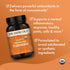 Dr. Mercola Organic Fermented Turmeric - 370 mg Fermented Turmeric - High-Bioavailability Curcuminoids - USDA Organic, Non-GMO, Gluten-Free & Soy-...