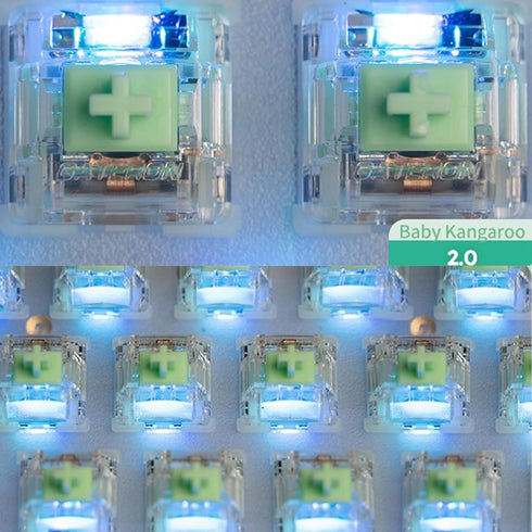 Gateron Baby Kangaroo 2.0 Dual-Stage SpringKeyboard Switches, Heavy Tactile 5-Pin 59gf RGB LED Factory Pre-lubed for MX Mechanical Keyboard(10Pcs)...