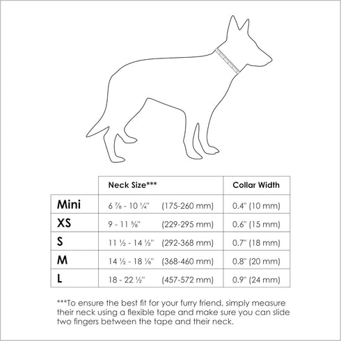 Waterproof and Durable Dog Collar, Comfortable, Soft and Lightweight Adjustable Collar for Active Dogs (Small, Blueberry Blue)...