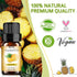 Pineapple Fruit Essential Oils - Fragrance Oil for Diffusers, Candle&Soap Making - Premium Aromatherapy Oil with Fruity Scent (2x10ml)...