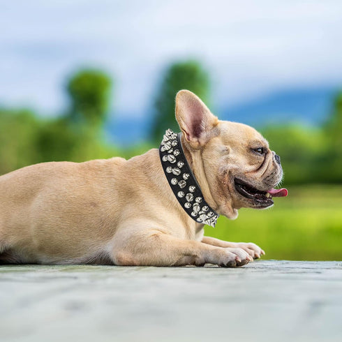 Spiked Dog Cat Collar Male Black Soft Leather Spike Puppy Collars Adjustable Mushroom Anti Bite Studded Dog Collars for Small Medium Large Dogs Ch...