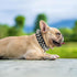 Spiked Dog Cat Collar Male Black Soft Leather Spike Puppy Collars Adjustable Mushroom Anti Bite Studded Dog Collars for Small Medium Large Dogs Ch...