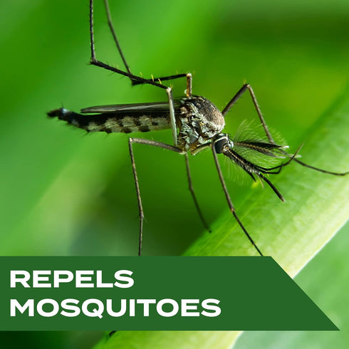 Stem Repels Mosquitoes: Mosquito Repellent Spray With Botanical Extracts; 4 fl oz (Pack Of 3)...