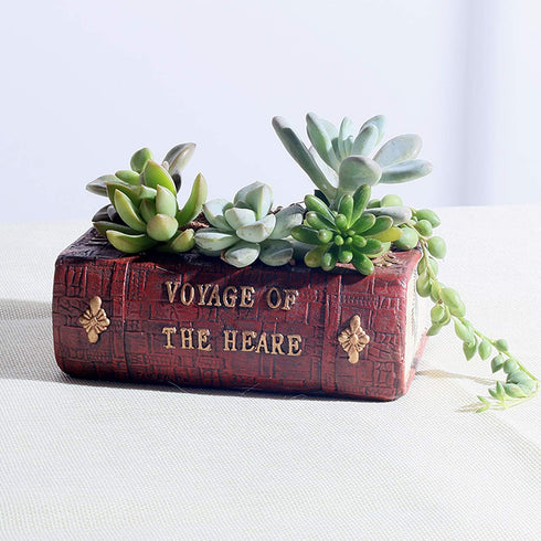 Succulent Pots, Cute Resin Animal Flower Planters Decorations, 4 Inches, Creative Pot for Sempervivum with Drainage, Gift for Women, Man, Office a...