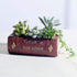 Succulent Pots, Cute Resin Animal Flower Planters Decorations, 4 Inches, Creative Pot for Sempervivum with Drainage, Gift for Women, Man, Office a...