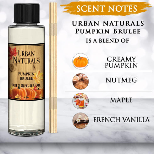 Urban Naturals Pumpkin Brulee Reed Diffuser Refill Oil | Autumn & Winter Home Scent | Creamy Pumpkin Pie, Nutmeg, Maple & French Vanilla | Made in...