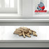 3/8" x 2" - 100 Pack Wooden Dowel Pins - Kiln Dried, Fluted, and Beveled (3/8" x 2", 100pk)...