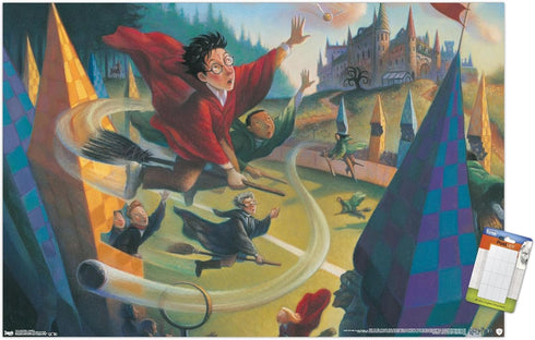 Trends International The Wizarding World: Harry Potter - Illustrated Quidditch Wall Poster, 34L x 22.4W, Premium Poster & Mount Bundle...
