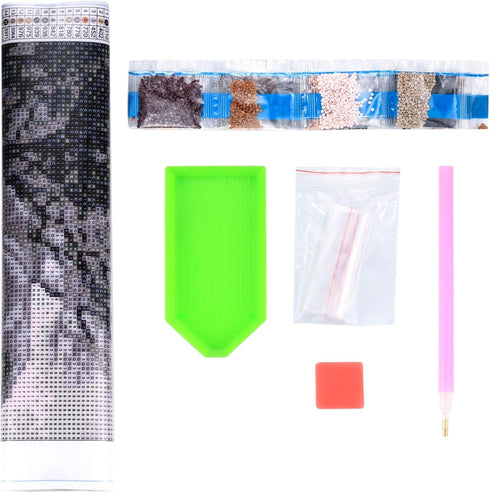 Siyurongg 5D Diamond Painting Kit, Painting by Numbers Kit - DIY Cartoon boy Theme Full Rhinestone Art Picture, Craft Supplies for Kids and Adults...
