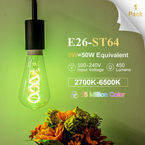 DiCUNO Smart Edison Bulb ST64, Color Changing WiFi Smart Light Bulb, Vinatge ST21 Filament Bulb Work with Alexa & Google, Dimmable with App, 50 Wa...