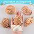 Hermit Crab Shells Large 6pcs,Natural Conch Shell Size 2.8" - 3.8", Opening Size 1.5" - 2.7", Hermit Crab Sand,Hermit Crab Habitat,Large Sea Shell...