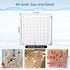 Acrylic Magnetic Seashell Display Box,Seashell Storage Box Display Case Decorative Seashell Starfish Trinket,Seashell Holder Display Box,Small Cra...