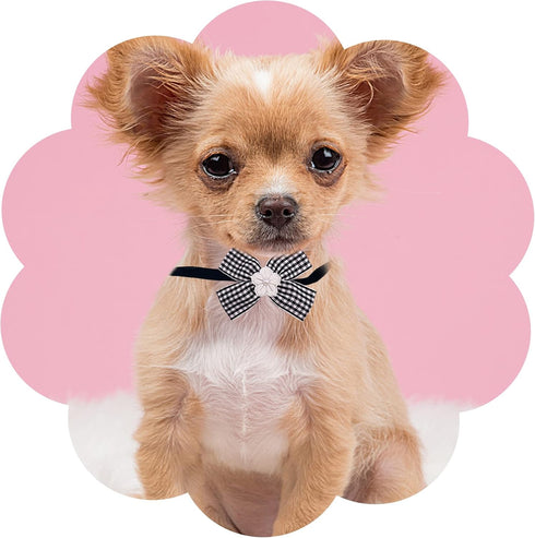 PET SHOW Adjustable Cute Dog Bow ties Collar for Small Dogs Puppy Cats Bowties Neckties Pet Grooming Accessories Assorted Randomly Pack of 50...