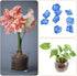 MECCANIXITY 300pcs Glow Rocks 8-10mm Glow Pebbles Decoration in The Dark Luminous Stones Decor DIY Decorative Dark Blue for Garden, Potted Plant, ...