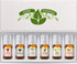 Good Essential Fragrance Oils for Soap Making - Set of 6 Scents Apple Chocolate, Coconut French Vanilla, Peach Cupcake, Aromatherapy, Perfume, Can...