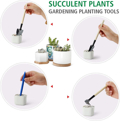 G GOOD GAIN Garden Succulent Kit with Organizer Bag, Indoor Mini Hand Gardening Tool Set, 14 Pieces Tools for Bonsai Planter Miniature Fairy Plant...