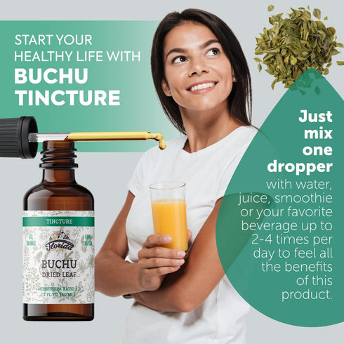 Buchu Tincture, Organic Buchu Extract (Agathosma Betulina) Dried Leaf Health Supplement, Non-GMO in Cold-Pressed Organic Vegetable Glycerin 2 oz, ...