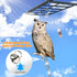 Owl to Keep Birds Away, 3 Pack Bird Scare Owl Fake Owl, Reflective Hanging Bird Decoration, Effective Bird Control Device to Keep Birds Pigeon Woo...