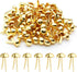 BokWin 100 Pcs Round Head Paper Fastener,0.31 Inch Gold Mini Brads,Brass Fasteners Suitable for Art&Craft DIY Projects...