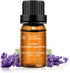 Lavender Essential Oil Single 100% Pure Natural Lavender Oil for Diffuser, Massage, Soap Making 10ML...