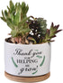 Teacher Appreciation Gift, Thank You for Helping Me Grow Ceramic Succulent Plant Pot Planter for Indoor Outdoor Use, Best Teacher Birthday Retirem...