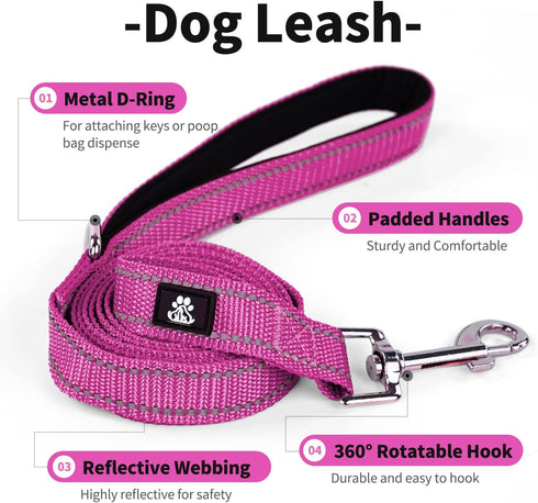 IVY&LANE Reflective Dog Collar and Leash Set,Adjustable Neoprene Padded Dog Collars, Breathable Nylon Pet Collar for Small Medium Large Dogs, 5FT ...