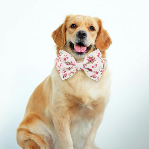 Adjustable Pet Bow Tie and Dog Collar for Small Medium Large Dogs, Puppy Collar with Bowtie, Cute Bow and Dog Collars - Comfortable, Soft, and Dur...