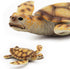 Gemini&Genius Sea Turtle Toy Marine Animal Figure Large Sea Animal Action Figure Ocean Educational Toy, Backyard Garden Decoration, DIY Craft Deco...