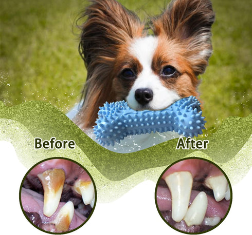 Puppy Toys for Teething, Dog Chew Toys for Small & Medium Breeds, Soothe Teething Pain, Lessens Anxiety, Durable, All-Natural Rubber and Cotton, 4...