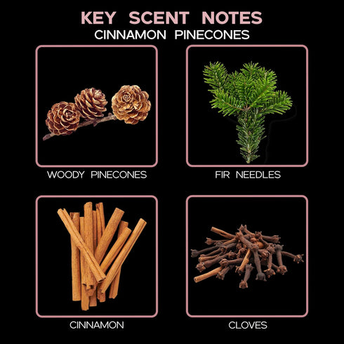 LOVSPA Cinnamon Pinecones Reed Diffuser Oil Gift Set | Woody Pine Cones, Woods, Fir Needles, Cinnamon, Clove & Sandalwood | Festive Scented Air Fr...