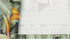 HAOKHOME 93375 Peel and Stick Wallpaper Tropical Florals Removable Stick on Contact Paper for Bedroom Green/Orange 17.7in x 9.8ft...