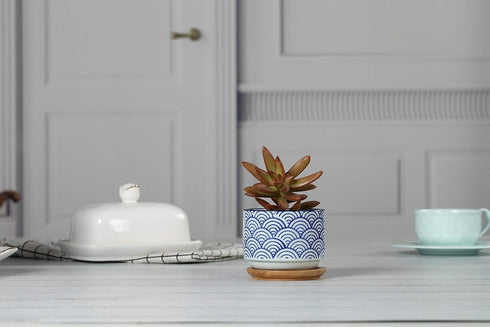 T4U 3 Inch Ceramic Succulent Planter Pots with Bamboo Tray Set of 2, Japanese Style Porcelain Handicraft as Gift for Mom Sister Aunt Best for Home...