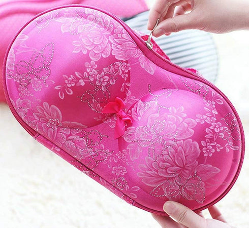 Travel Home Organizer Zip Bag Case Portable Bra Storage Bag Waterproof Bra and Underwear...