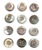 Vintage 12 Grey Pinkish Ocean Pearl -Mother of Pearl Buttons 1/2''- 10mm""- Gray Pinkish Irridescent Blouse Buttons,Shirt Buttons, 2 Holes...