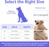 Pet Bling Accessories Cat and Dog Rhinestone Collar PU Leather Adjustable Collar (Medium, Navy Bule)...