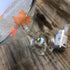 Edible Glitter for Drinks • Shiny Silver Glitter, Shimmer Beverage Dust for Cocktails, Beer, Wine and More - Original Silver - 3 gram Shaker...