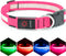 LED Dog Collar, Light Up Dog Collar Adjustable USB Rechargeable Super Bright Safety Light Glowing Collars for Dogs (Large, Pink)...
