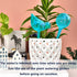 Plant Self Watering Globes - 10pcs Flower Self Watering Planter Insert, Plastic Self Watering Bulbs Auto for Plants, Garden Water Device Drippers ...