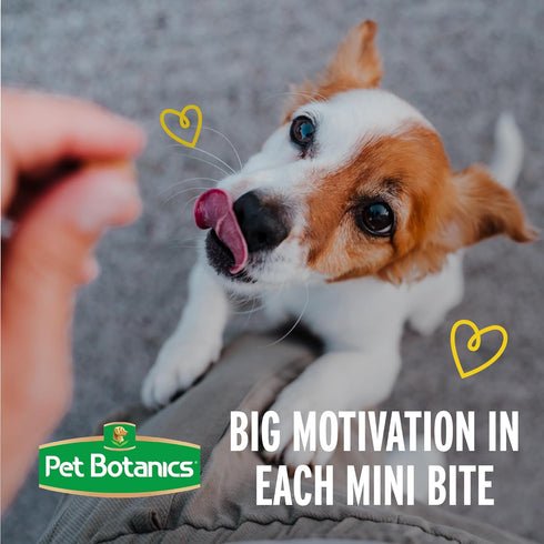 Pet Botanics 4 oz. Pouch Training Rewards Puppy Bites Soft & Chewy, Peanut Butter Flavor, with 200 Treats Per Bag, The Choice of Top Trainers...